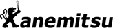 KANEMITSU CAPITAL 株式会社